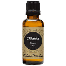 Load image into Gallery viewer, Caraway Essential Oil