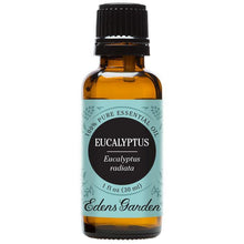 Load image into Gallery viewer, Eucalyptus- radiata Essential Oil