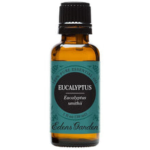 Load image into Gallery viewer, Eucalyptus- smithii Essential Oil