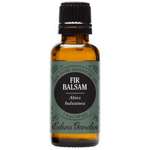 Load image into Gallery viewer, Fir Balsam Essential Oil