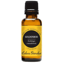 Load image into Gallery viewer, Goldenrod Essential Oil