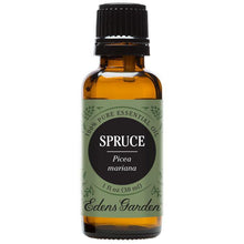 Load image into Gallery viewer, Spruce Essential Oil