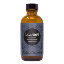 Load image into Gallery viewer, Lavandin Essential Oil