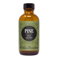 Load image into Gallery viewer, Pine Essential Oil