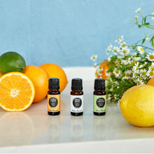 Load image into Gallery viewer, Citrus Cream Essential Oil Blend