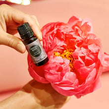 Load image into Gallery viewer, Angelica Root Essential Oil