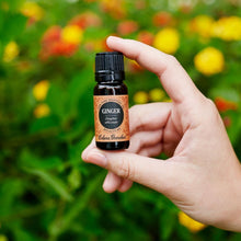 Load image into Gallery viewer, Ginger Essential Oil