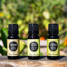 Load image into Gallery viewer, Lemon Tea Tree Essential Oil