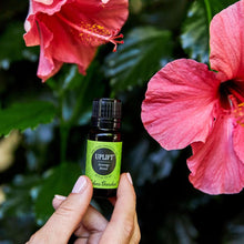 Load image into Gallery viewer, Uplift Essential Oil Blend