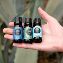 Load image into Gallery viewer, Muscle Relief Essential Oil Blend