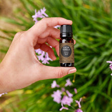 Load image into Gallery viewer, Cocoa Vanilla Essential Oil Blend
