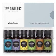 Load image into Gallery viewer, Top Single Essential Oils Set