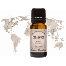 Load image into Gallery viewer, Cedarwood Around The World Essential Oil