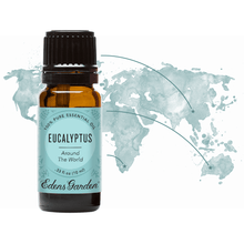 Load image into Gallery viewer, Eucalyptus Around The World Essential Oil