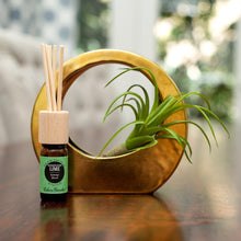 Load image into Gallery viewer, Frankincense Lime Essential Oil Blend