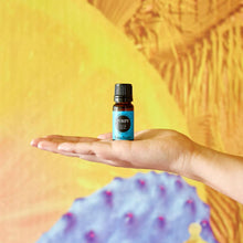 Load image into Gallery viewer, Purify Essential Oil Blend
