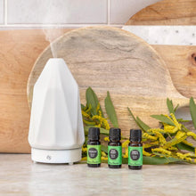 Load image into Gallery viewer, Simply Citrus Essential Oil Blend