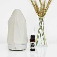 Load image into Gallery viewer, Vanilla Sandalwood Essential Oil Blend