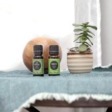 Load image into Gallery viewer, Fir Needle Essential Oil