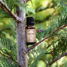 Load image into Gallery viewer, Cedarwood Around The World Essential Oil