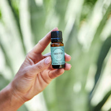 Load image into Gallery viewer, Eucalyptus Around The World Essential Oil