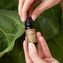 Load image into Gallery viewer, Frankincense Around The World Essential Oil