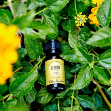 Load image into Gallery viewer, Lemon Around The World Essential Oil