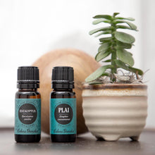 Load image into Gallery viewer, Eucalyptus- smithii Essential Oil