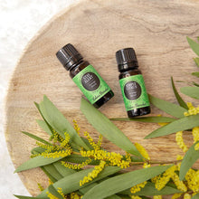 Load image into Gallery viewer, Stay Alert Essential Oil Blend