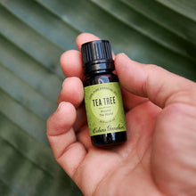 Load image into Gallery viewer, Tea Tree Around The World Essential Oil