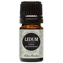 Load image into Gallery viewer, Ledum Essential Oil
