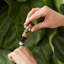Load image into Gallery viewer, Patchouli Essential Oil Roll-On
