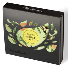 Load image into Gallery viewer, Best of the Best Essential Oil Set
