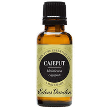 Load image into Gallery viewer, Cajeput Essential Oil
