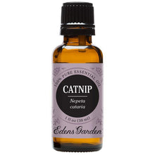 Load image into Gallery viewer, Catnip Essential Oil
