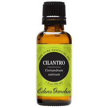 Load image into Gallery viewer, Cilantro Essential Oil
