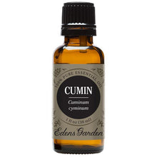 Load image into Gallery viewer, Cumin Essential Oil
