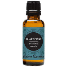Load image into Gallery viewer, Frankincense- serrata Essential Oil
