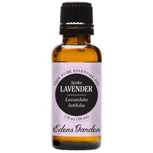 Load image into Gallery viewer, Lavender- Spike Essential Oil
