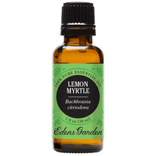 Load image into Gallery viewer, Lemon Myrtle Essential Oil
