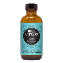 Load image into Gallery viewer, Blue Cypress Essential Oil
