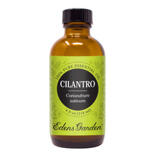 Load image into Gallery viewer, Cilantro Essential Oil
