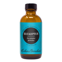Load image into Gallery viewer, Eucalyptus- globulus Essential Oil
