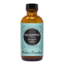 Load image into Gallery viewer, Eucalyptus- radiata Essential Oil
