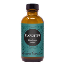Load image into Gallery viewer, Eucalyptus- smithii Essential Oil
