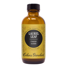 Load image into Gallery viewer, Laurel Leaf Essential Oil

