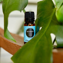 Load image into Gallery viewer, Spearmint Essential Oil

