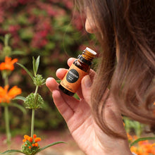 Load image into Gallery viewer, Meditation Essential Oil Blend
