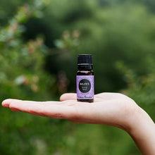 Load image into Gallery viewer, Balance Essential Oil Blend
