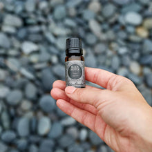 Load image into Gallery viewer, Black Pepper Essential Oil
